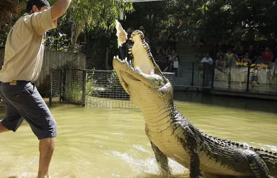 哈特利鱷魚探險公園：開恩茲往返之旅