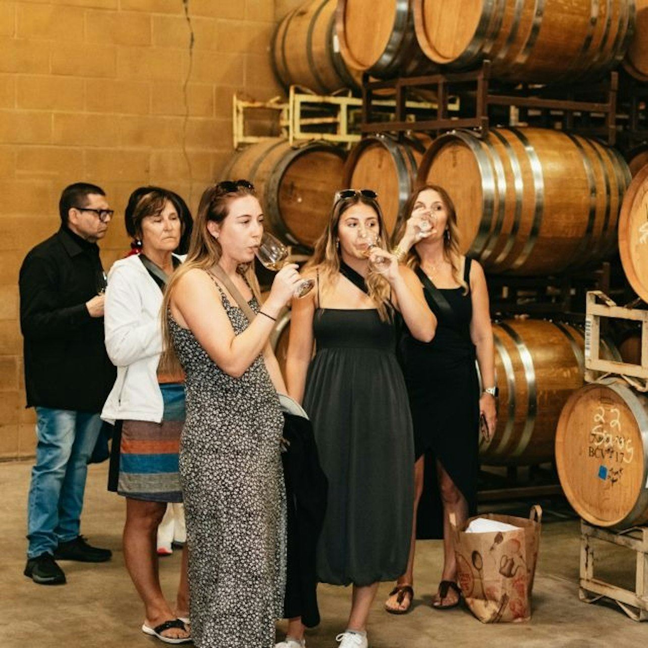 ワインカントリーとアームストロング・ウッズ：サンフランシスコ発ガイド付きツアー＋テイスティング