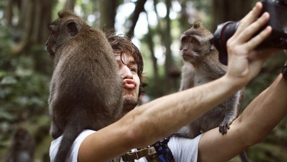 Ubud : Location de voiture personnalisable pour une visite touristique d'une demi-journée ou d'une journée complète