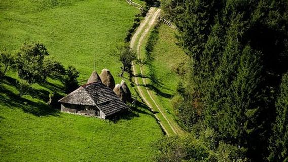 BrasovTours