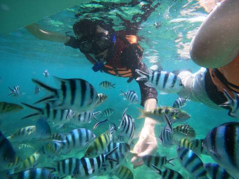 澎湖列島體驗潛水浮潛2小時【澎湖浮潛：樂福海洋海底郵筒浮潛・SUP體驗】