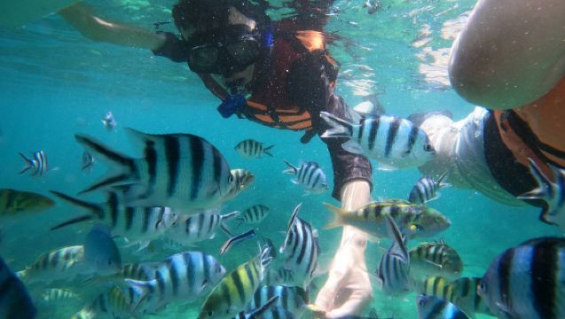 Penghu: 2-Hour Undersea Mailbox Snorkeling & SUP Experience - Love Ocean