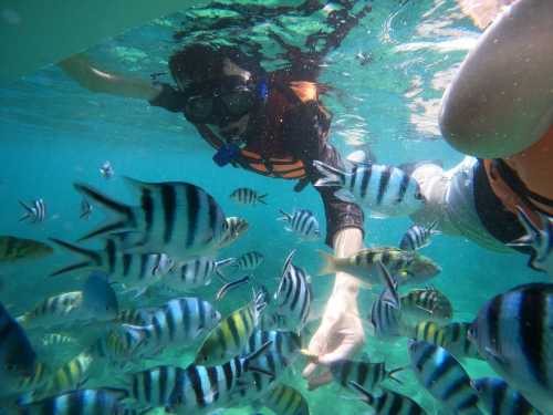 澎湖列島浮潛(行程2小時)【澎湖浮潛: 樂福海洋海底郵筒浮潛・SUP體驗】