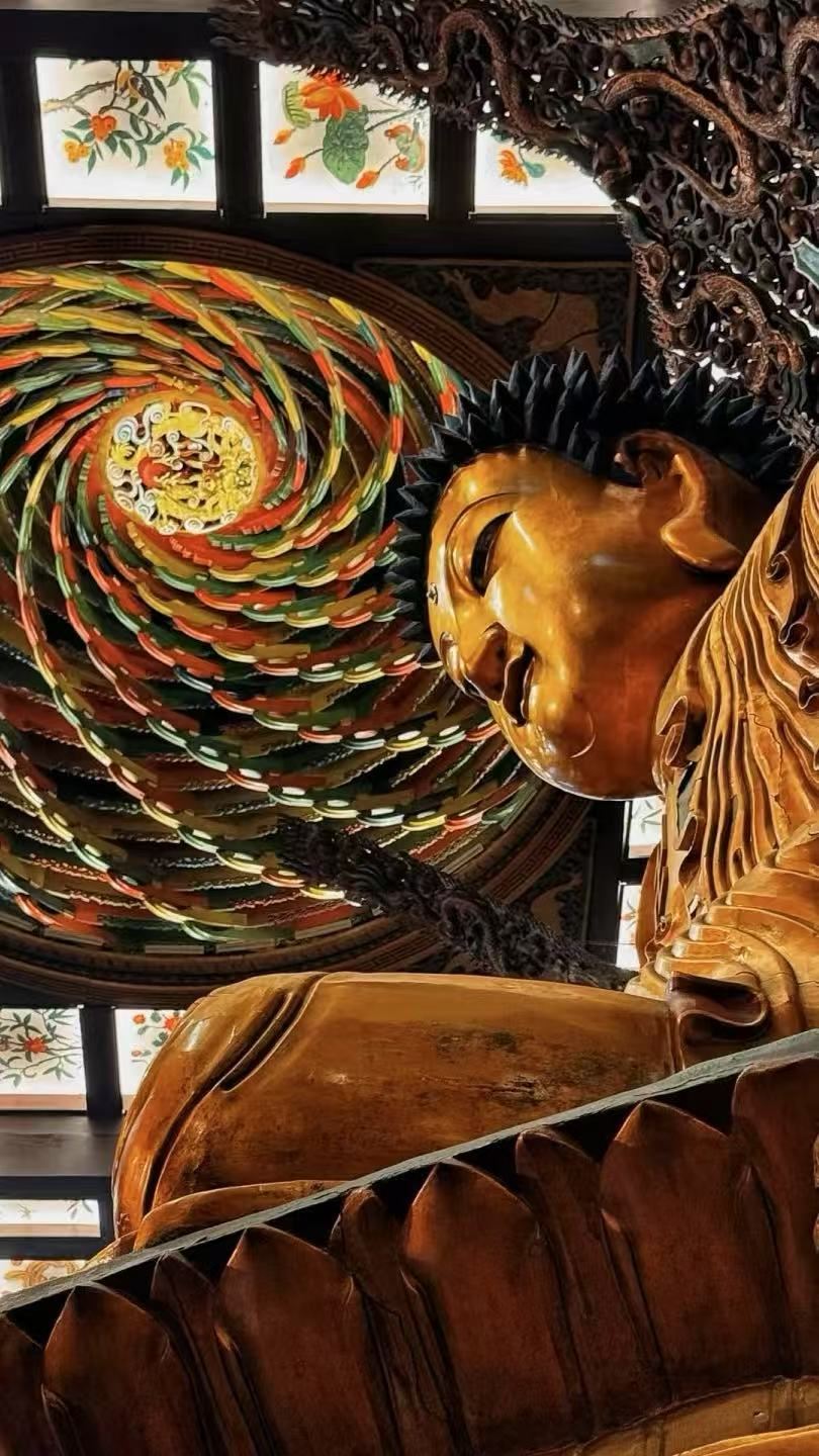 Shanghai Zhujiajiao Water Town City Highlight Day Tour+Jade Buddha Temple+Silk Museum