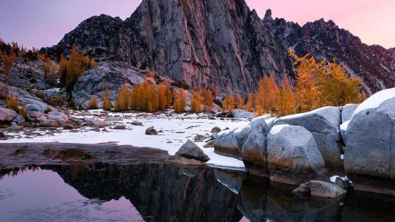 邂逅童話阿爾卑斯｜新天鵝堡+湖畔漫遊【普通話包車一日遊】