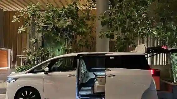 香港包車/散拼一日遊【包車指定埃爾法+上門接送+絲滑過關】