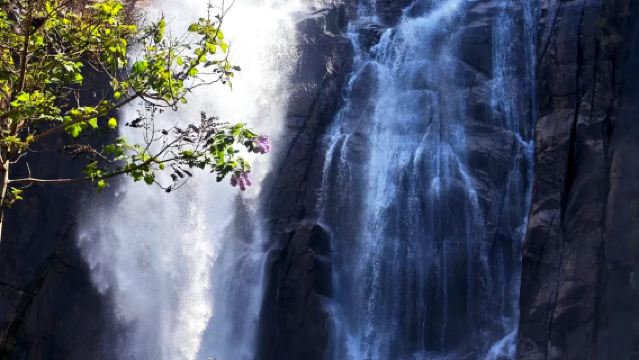 台州天台山大瀑布普通話私享導覽講解服務(不包括入場門票)半日