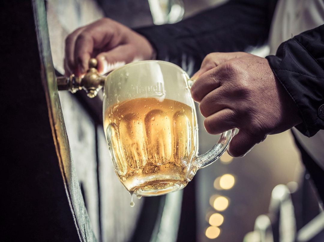 捷克比爾森：啤酒博物館+啤酒廠+城市漫步。啤酒不只是德國