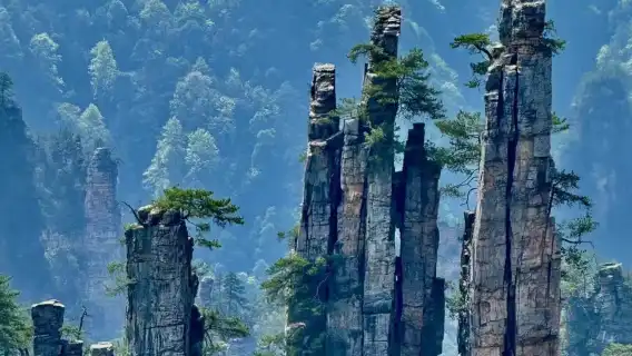 장자제 아바타 산과 최장 유리 다리 프라이빗 종일 투어