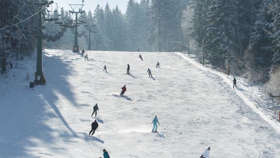 Estación de esquí Elysian Gangchon e isla Nami (Salida desde Seúl, incluye lección de vestimenta)