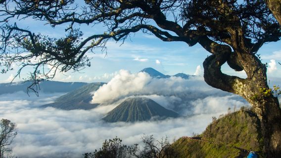 印尼泗水布羅莫火山一日遊【1人起訂拼團/專車觀景台+吉普車】