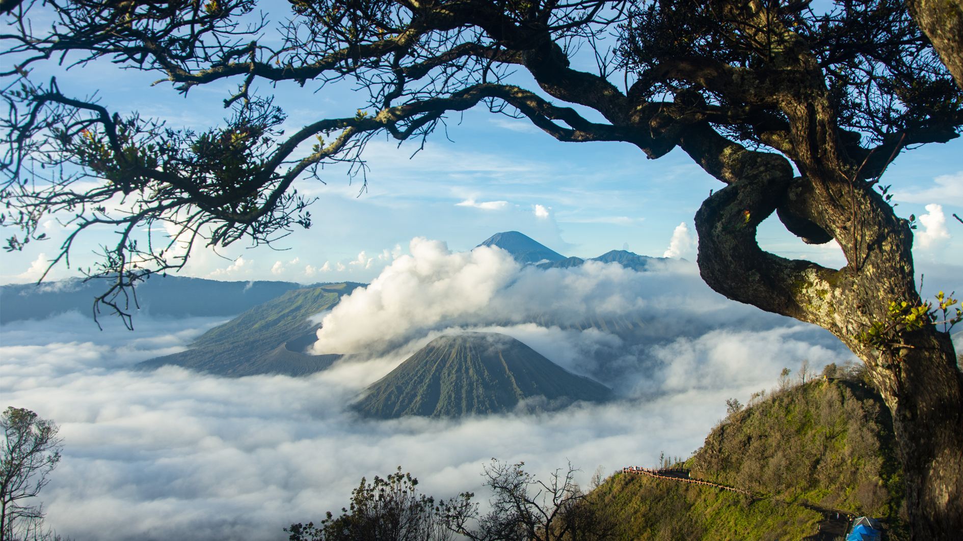 Escursione di un giorno al Monte Bromo da Surabaya, Indonesia [Prenotazione per 1 persona/Gruppo condiviso + Jeep per il punto panoramico]