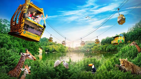 Однодневный тур в Сафари парк Сян Цзян в Гуанчжоу | Ежедневные отправления, включая бесплатный мини-поезд + канатная дорога