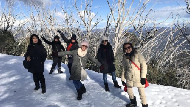 From Melbourne: Mt Buller Snow Day Small Group Boutique Tour