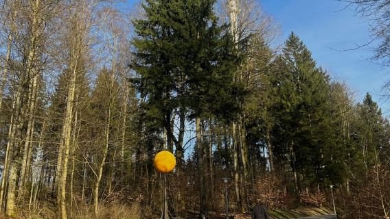 Zürich: Wanderung zum Aussichtspunkt Zürich & Raclette im Freien