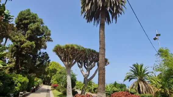 Gran Canaria Shore Excursion Rum Tasting & Scenic Villages