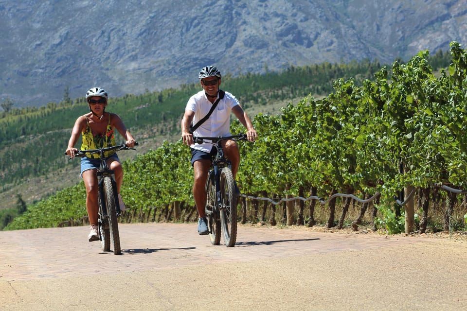 Franschhoek: E-Bike Guided Winery Tour