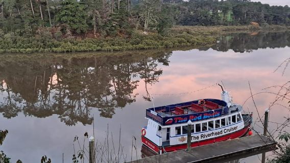 Auckland: Du thuyền ngắm cảnh đến Riverhead Tavern