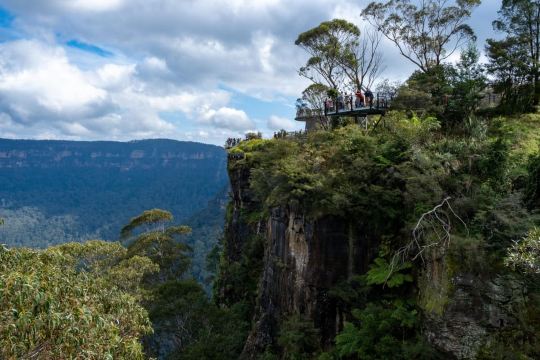 From Sydney: Blue Mountains, Sydney Zoo & Walking Tour