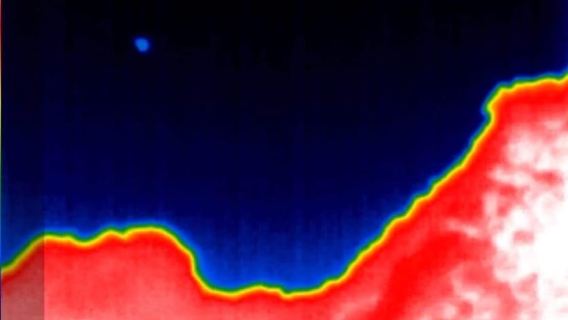 Bat Watching Madeira