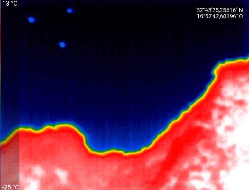 Osservazione dei pipistrelli a Madeira