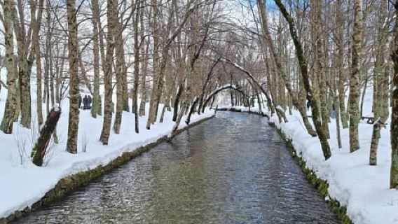From Covilhã: Serra da Estrela Guided Tour with Lunch