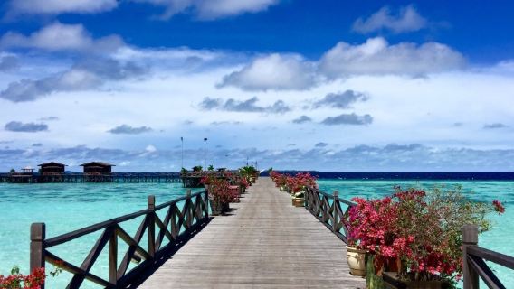 Reservar después de consultar / Semporna, Malasia / Isla Mabul / Pulau Pom Pom / Parque Marino de Tun Sakaran / Isla Kapalai / Aeropuerto / Transporte puerta a puerta / Guía turístico / Servicio de vehículo privado