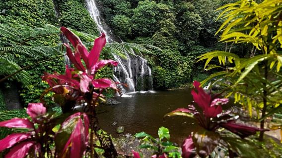Bali: Wanagiri, Banyumala Twin Waterfall, Ulun Danu Bratan