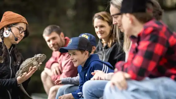 Kiwi Park Admission Ticket