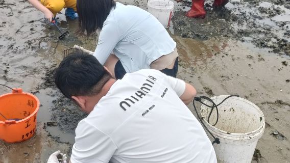 調順島+漁港公園+特呈島+廣州灣一日遊（趕海體驗漁夫圍網捕）