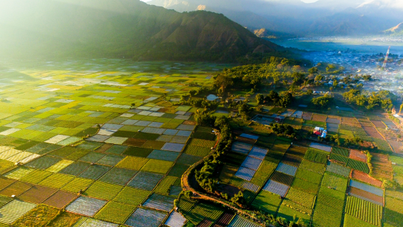 Découverte du Nord de Lombok : plages, montagne, cascades et Sembalun (sans déjeuner)
