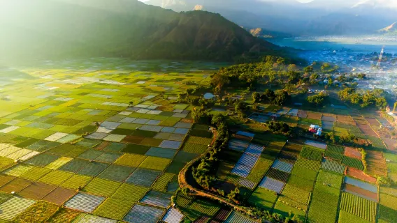 探索北龍目島：海灘、山脈、瀑布和森巴倫 (不含午餐)