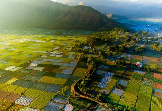 Exploring North Lombok: Beaches, Mountain, Waterfalls and Sembalun