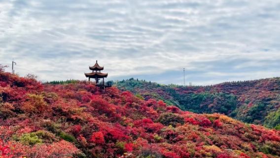 河南鞏義竹林長壽山一日遊【鄭州出發，天氣轉涼，紅葉登場】