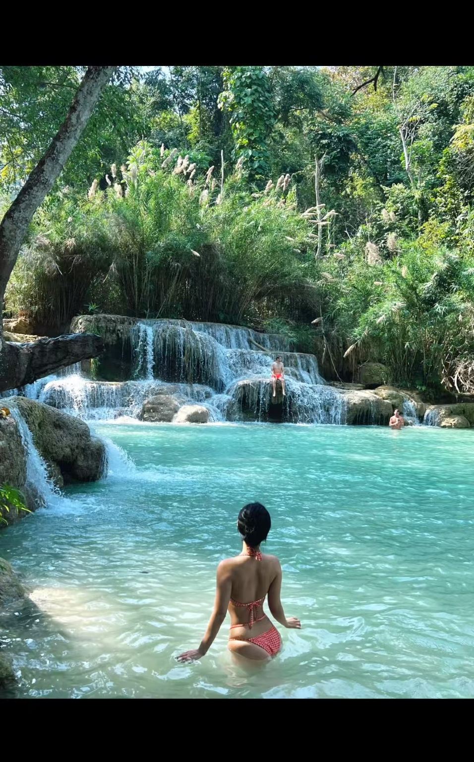 Laos Luang Prabang Airport & Train Station Point-to-Point Transfer Customized Private Charter/Guide/Translation Services