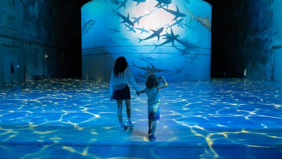 Les Bassins des Lumières: Ocean