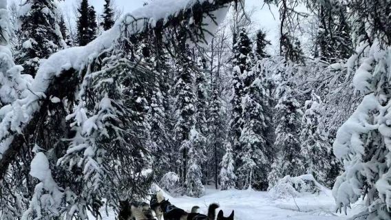 美國費爾班克斯極光之旅＋珍那溫泉一日遊【中文司機＋多日優惠】