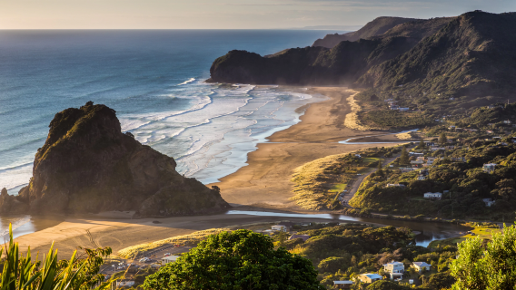 紐西蘭·奧克蘭高空跳傘+鳥島+獅子岩+黑沙沙灘一日遊