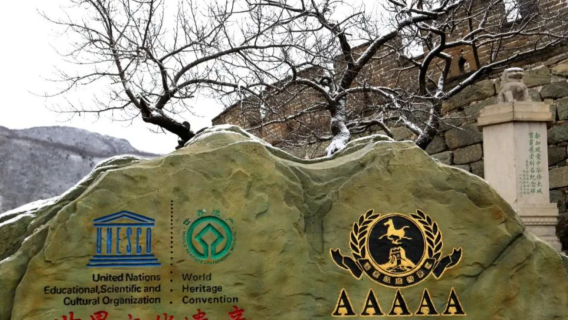 Beijing Tiananmen Square + Forbidden City + Mutianyu Great Wall 1-day tour[Family VIP Group]