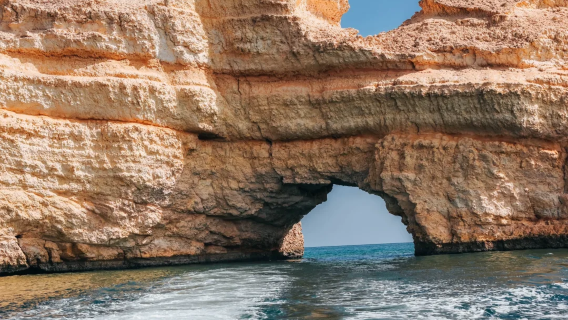 阿曼追海豚一日遊【2人起訂】潛水+追海豚+包含午餐