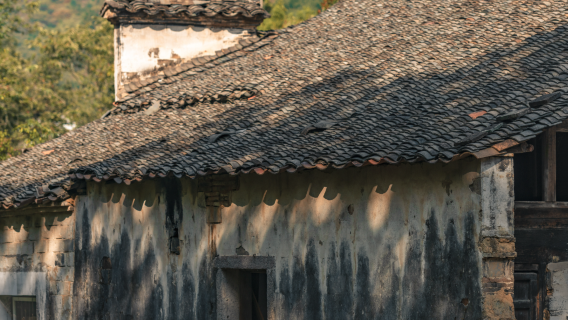 安徽查濟＋桃花潭＋宣紙文化園 包車遊 【宣城出發】