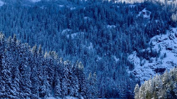 Classic Natural Adventure Private Charter Day Tour in Northern Montenegro