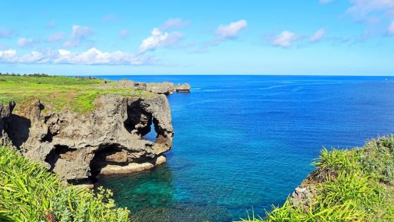 Naha: North Okinawa Sightseeing Tour & Churaumi Aquarium