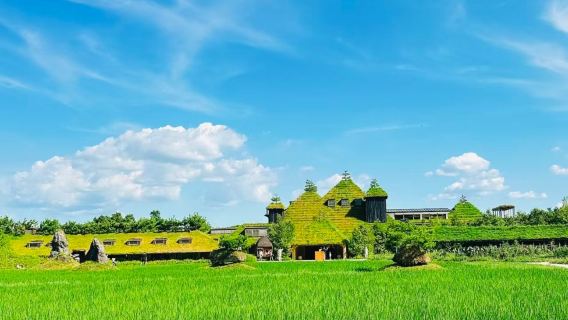 琵琶湖+展望台+白鬚神社+浮御堂一日遊【中文導遊】