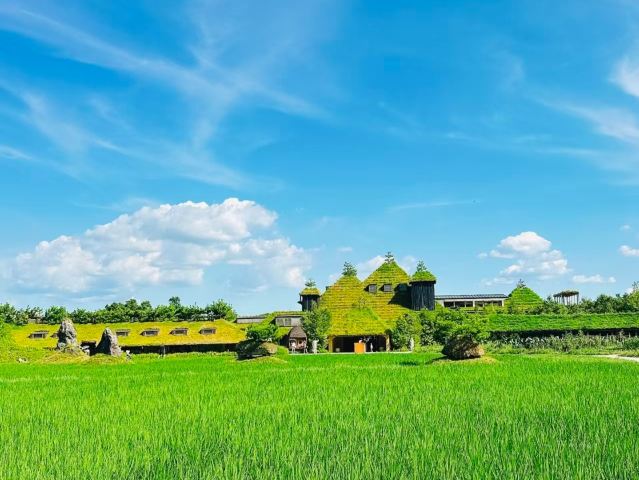 琵琶湖+展望台+白鬚神社+浮御堂一日遊【中文導遊】