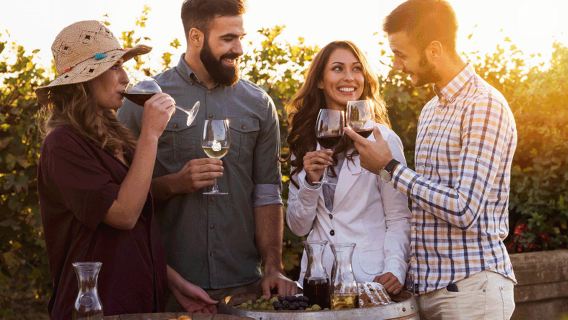 聖誕元旦可訂全店鋪滿減悉尼+獵人谷+中央海岸中文一日遊