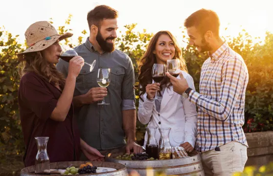 悉尼+獵人谷+中央海岸 可選中文/雙語 一日遊