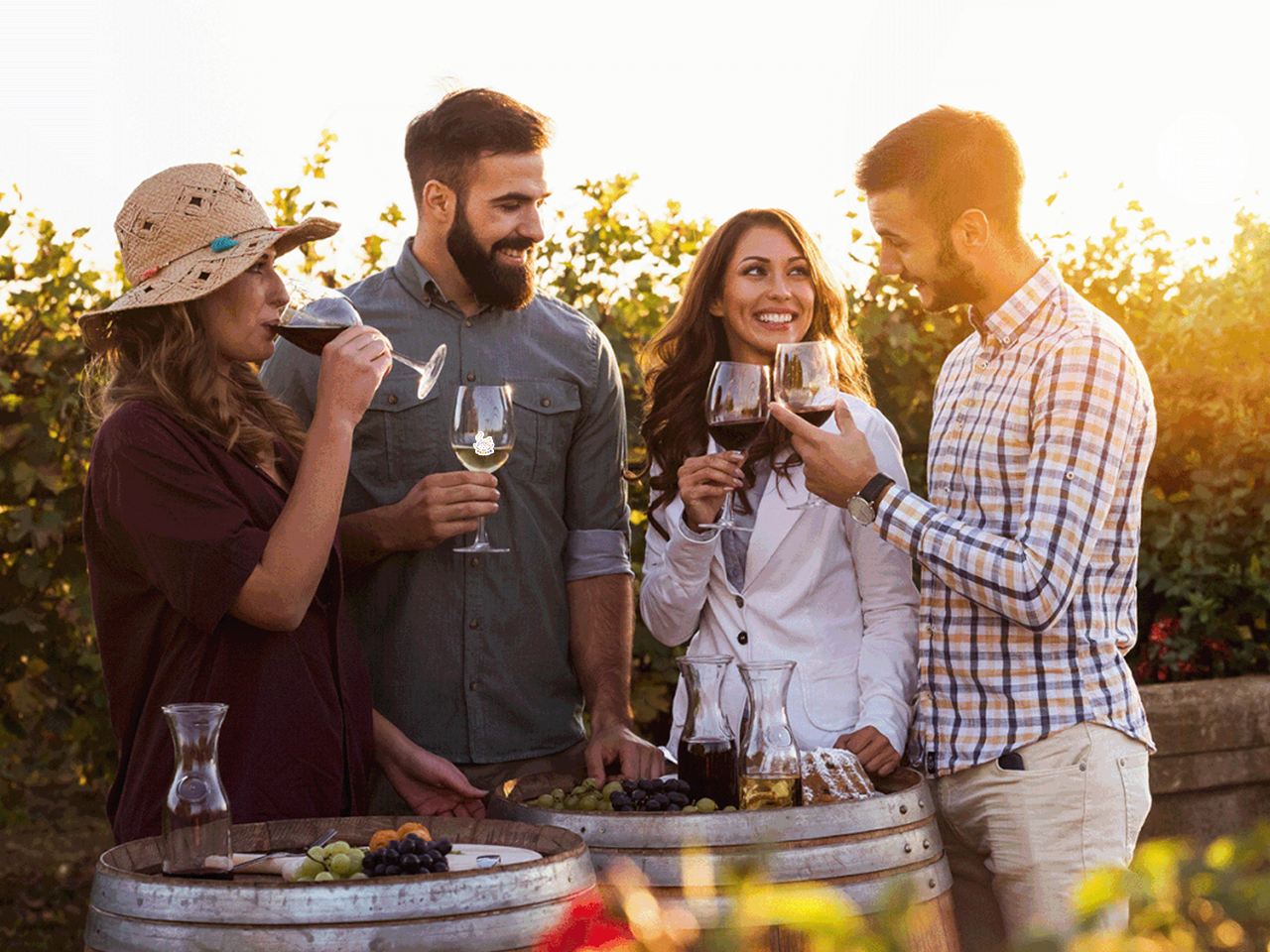 聖誕元旦可訂 全店鋪滿減 雪梨+獵人谷+中央海岸中文一日遊