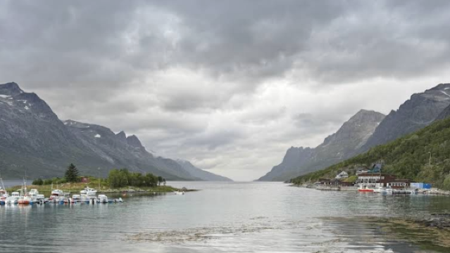 挪威特羅姆瑟+芬斯內斯+塞尼亞島一日遊【包車-跟團詢客服】