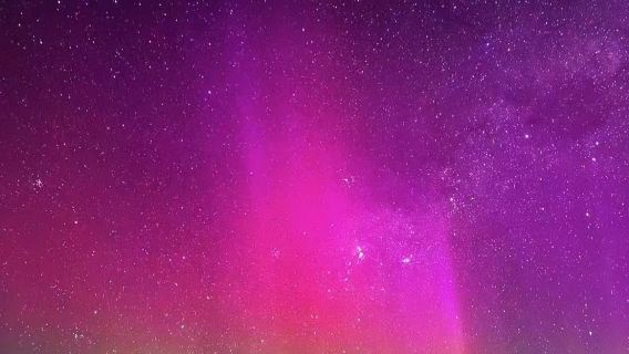 紐西蘭皇后鎮來回 特卡波-可觀星 暢遊南北島可訂多日包車